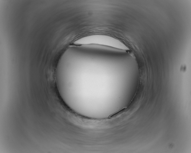 X0000096170044200802081421