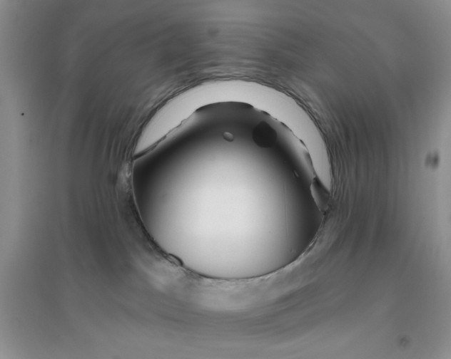 X0000096170045200802081421