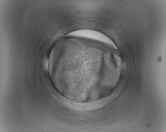 X0000096170046200802081421