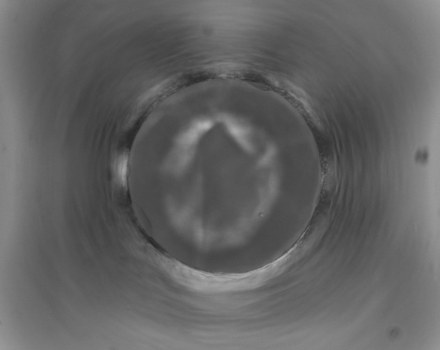 X0000096170047200802081421