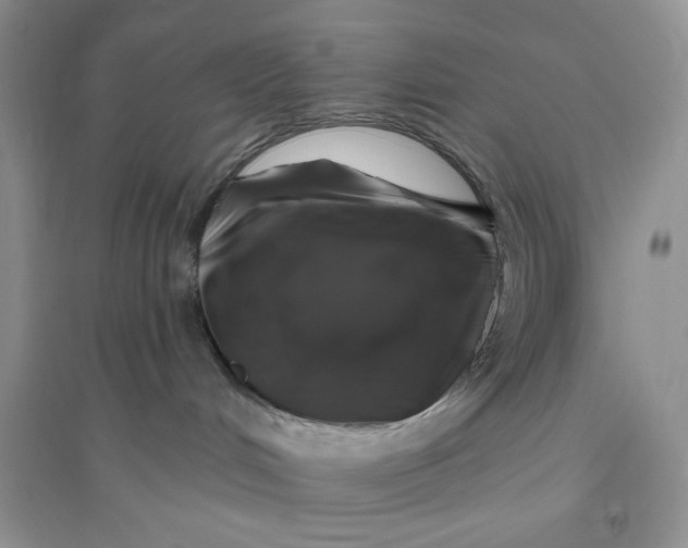 X0000096170048200802081421