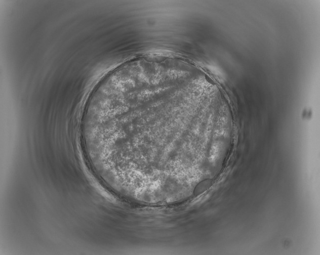 X0000096170049200802081420