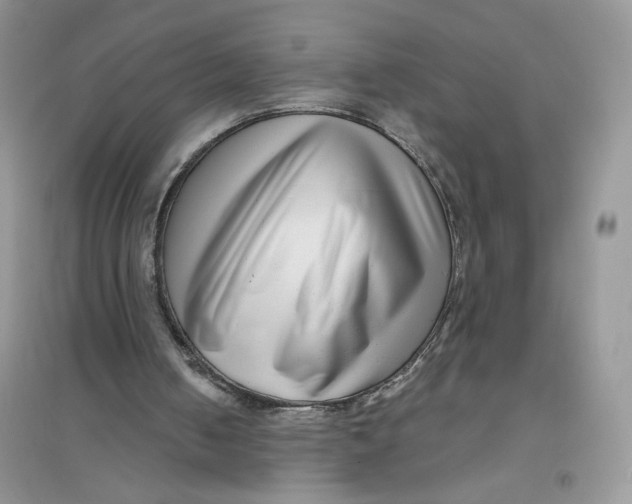 X0000096170050200802081420