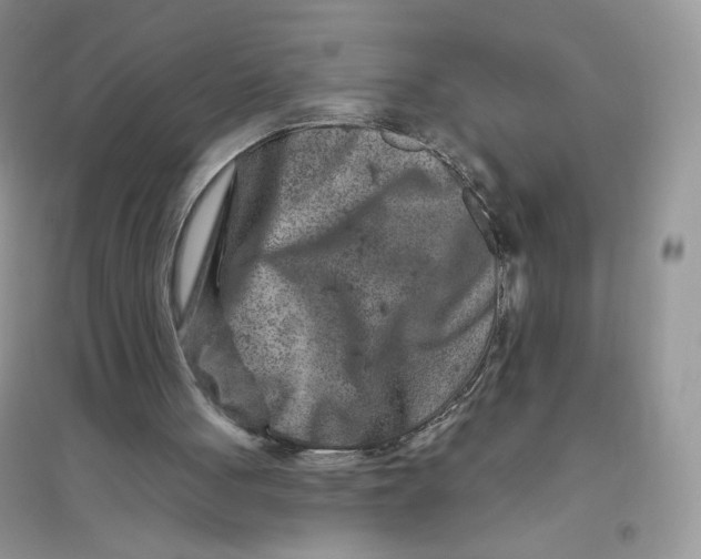 X0000096170051200802081420