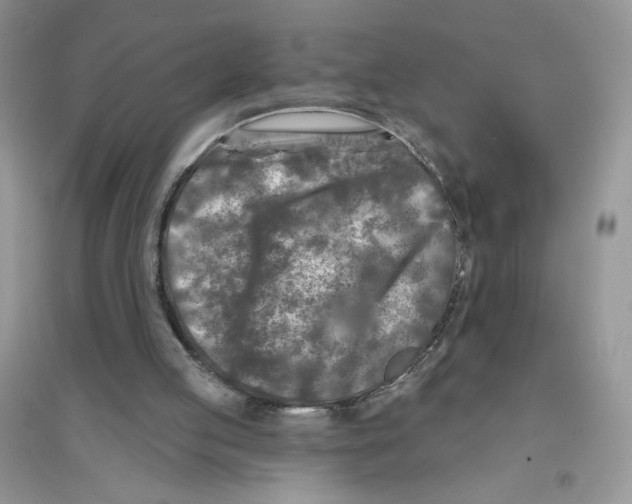 X0000096170053200802081420