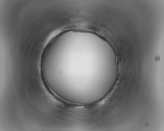 X0000096170054200802081420