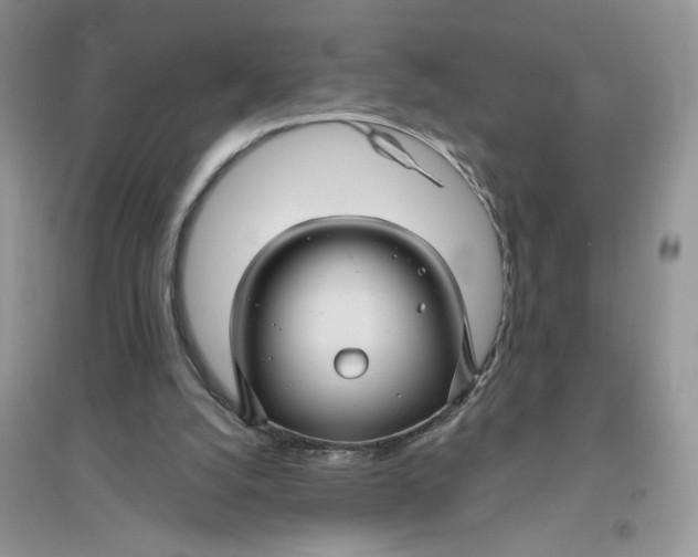 X0000096170056200802081420