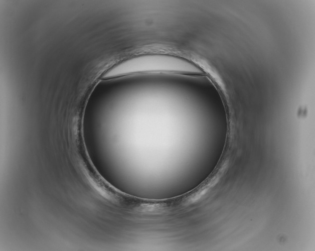 X0000096170057200802081420