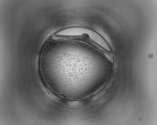 X0000096170058200802081420