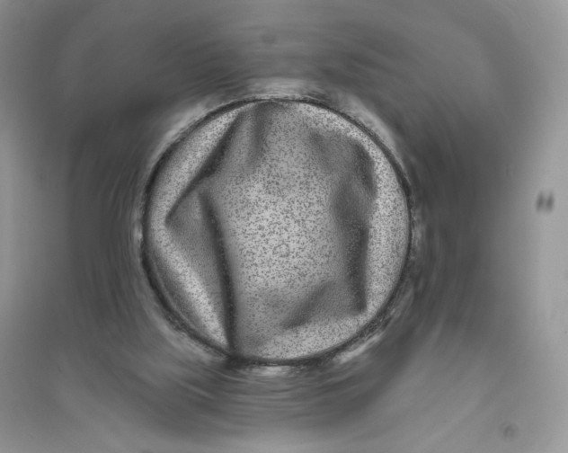 X0000096170059200802081420