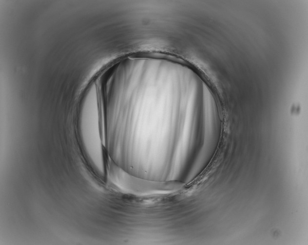 X0000096170060200802081420