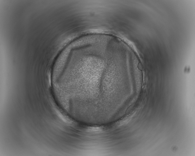 X0000096170061200802081420