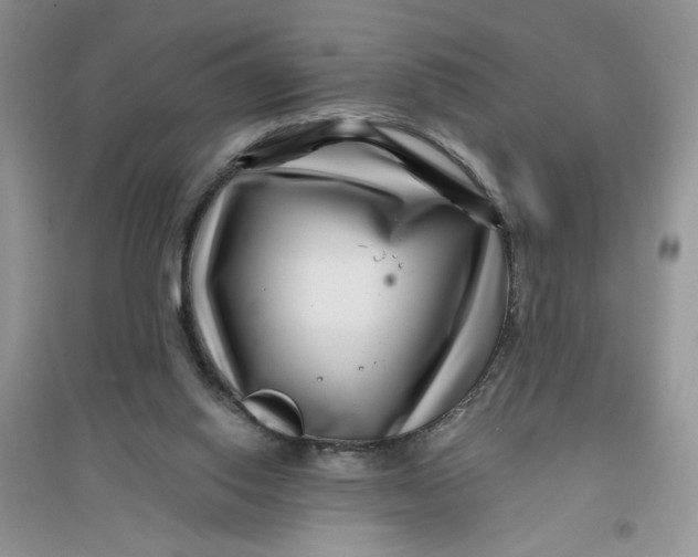 X0000096170062200802081420