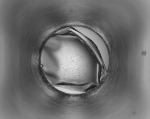 X0000096170063200802081420