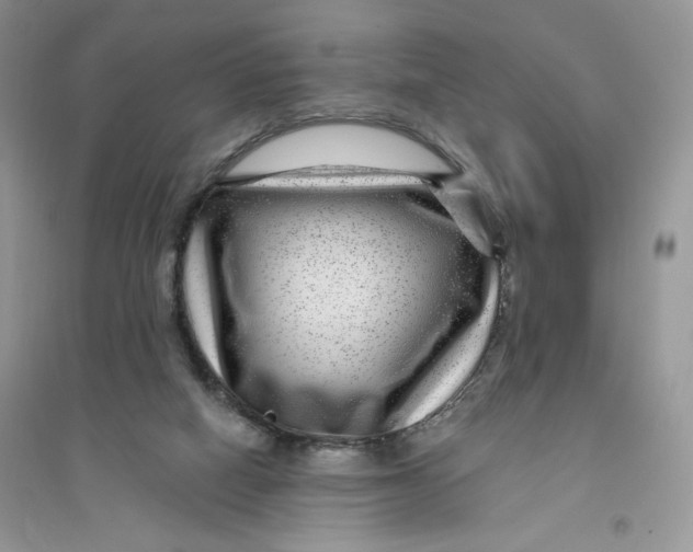 X0000096170066200802081420