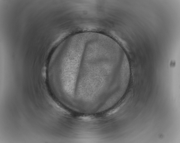 X0000096170067200802081420