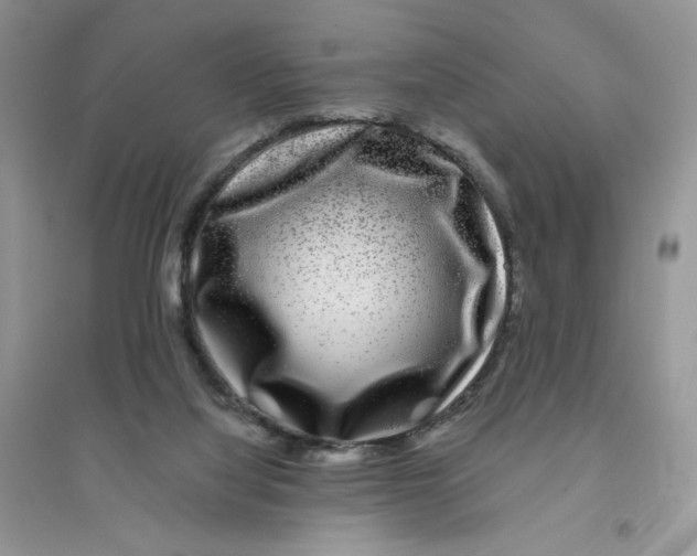 X0000096170068200802081420