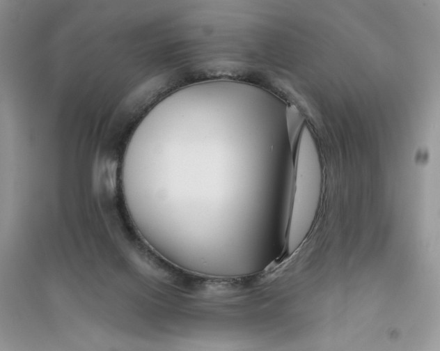 X0000096170070200802081420