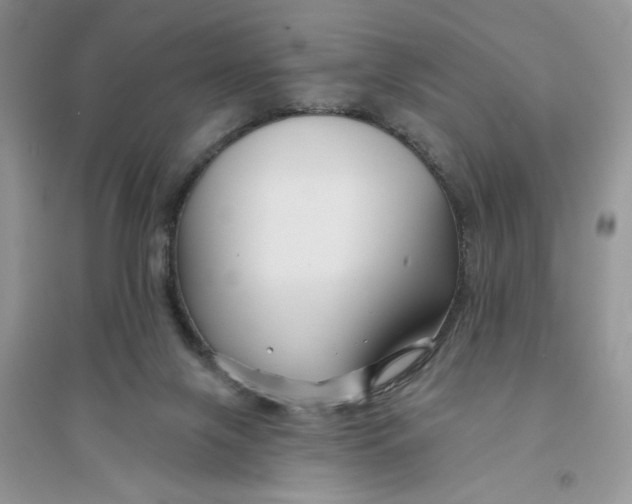 X0000096170071200802081420