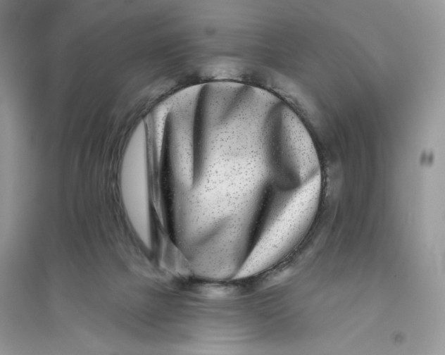 X0000096170073200802081420