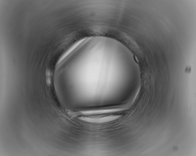 X0000096170075200802081420