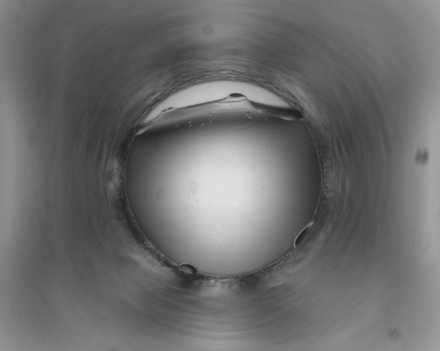 X0000096170077200802081421