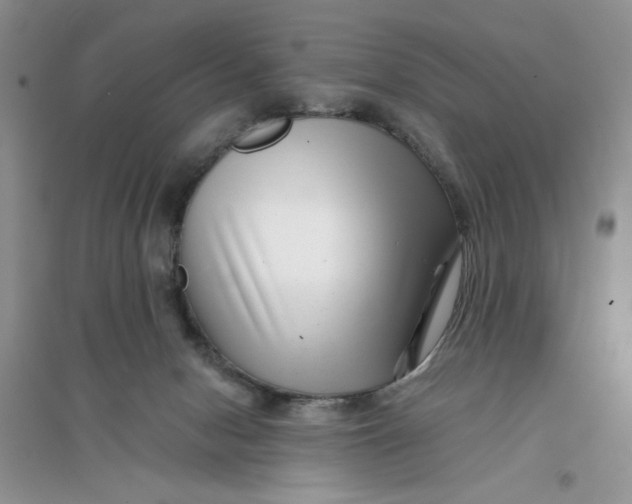 X0000096170078200802081421