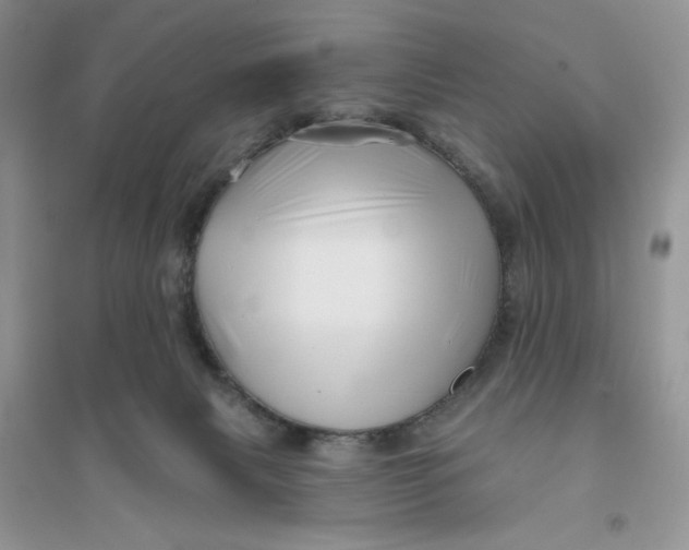 X0000096170079200802081421