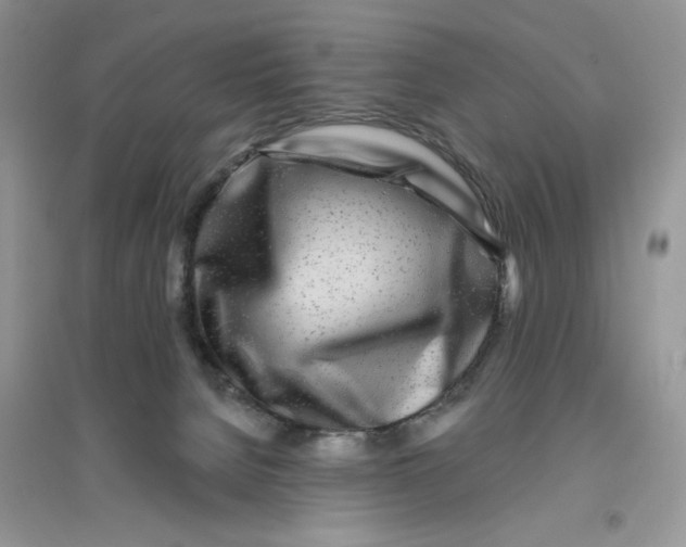 X0000096170080200802081421