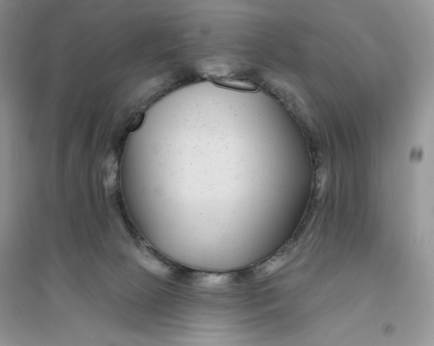 X0000096170081200802081421