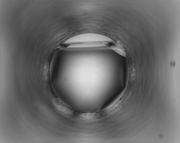 X0000096170082200802081421