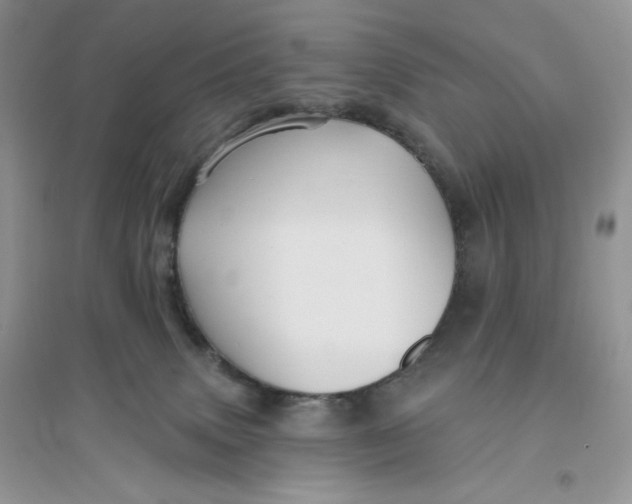 X0000096170083200802081421