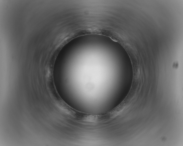 X0000096170084200802081421