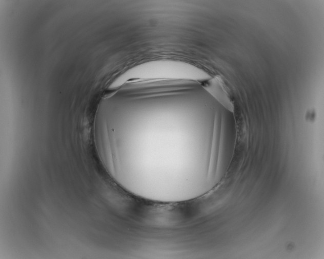 X0000096170086200802081421