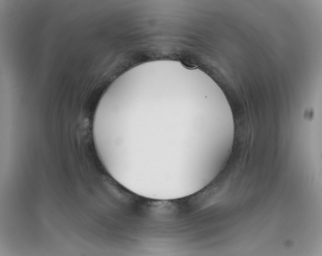 X0000096170087200802081421