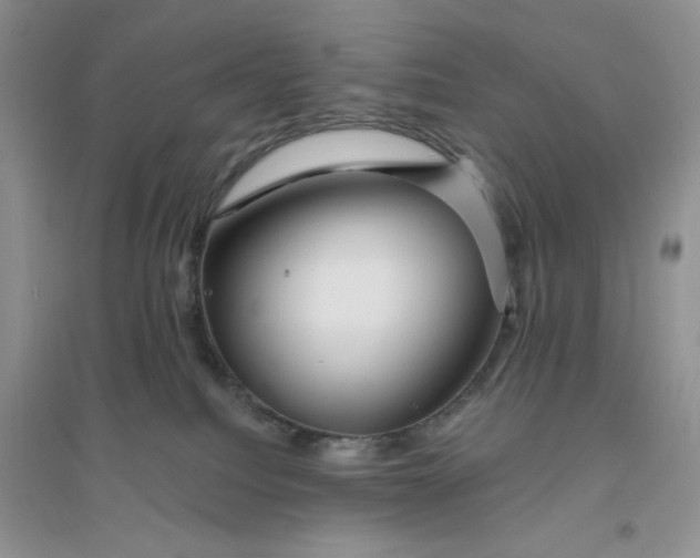 X0000096170088200802081421