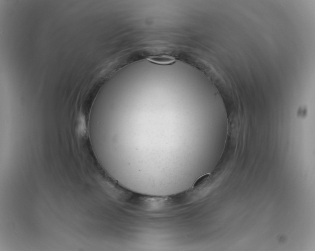 X0000096170089200802081421