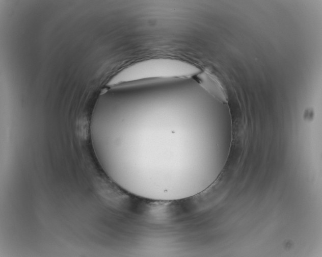 X0000096170090200802081421