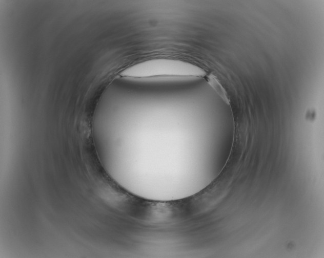 X0000096170091200802081421