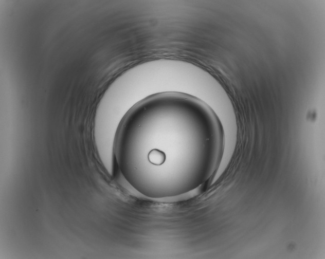 X0000096170092200802081421