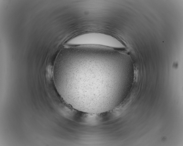 X0000096170093200802081421