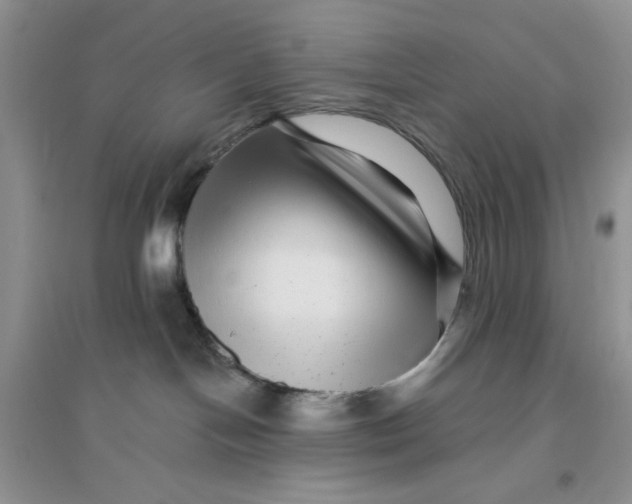 X0000096170094200802081421