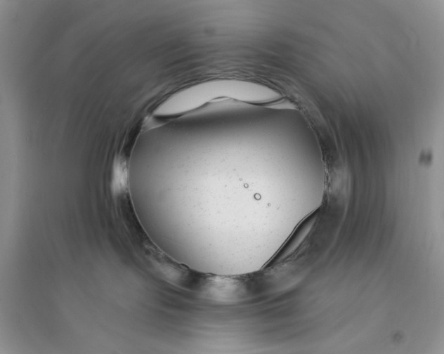 X0000096170095200802081421