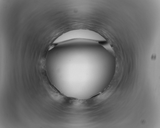 X0000096170096200802081421