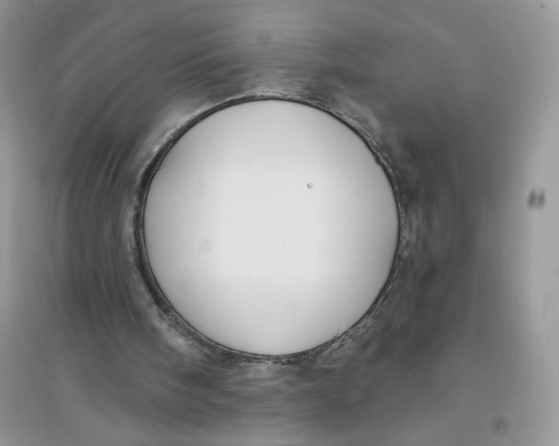 X0000096170098200802081420