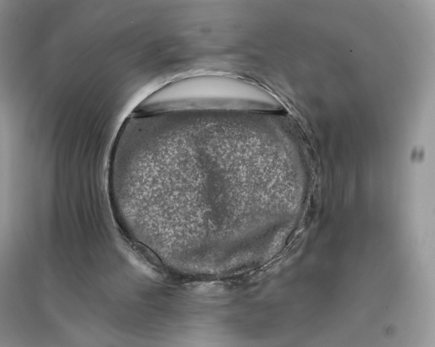 X0000096170100200802081420