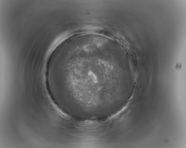 X0000096170101200802081420