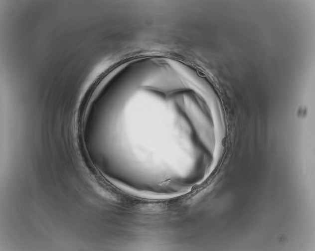 X0000096170102200802081420