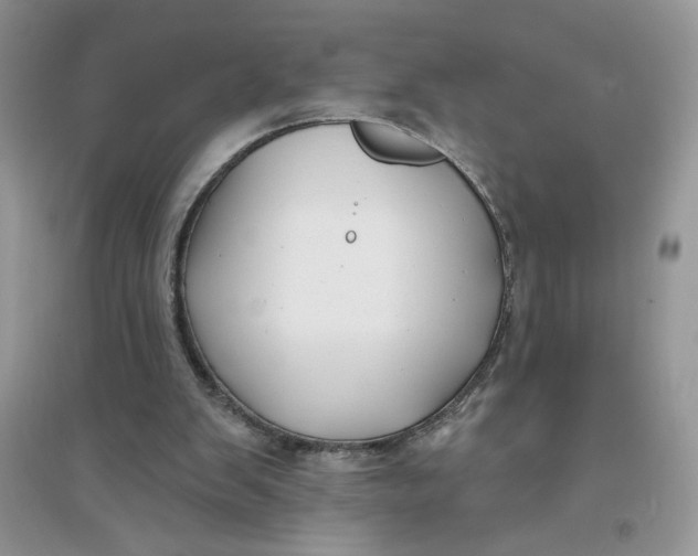 X0000096170103200802081420