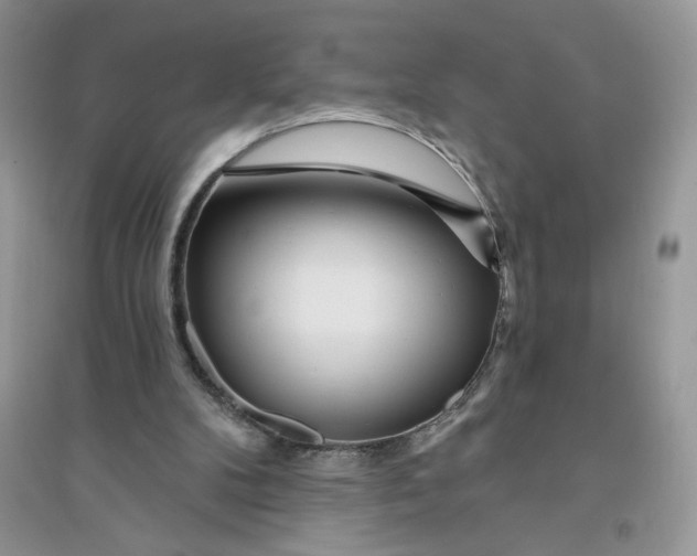 X0000096170104200802081420